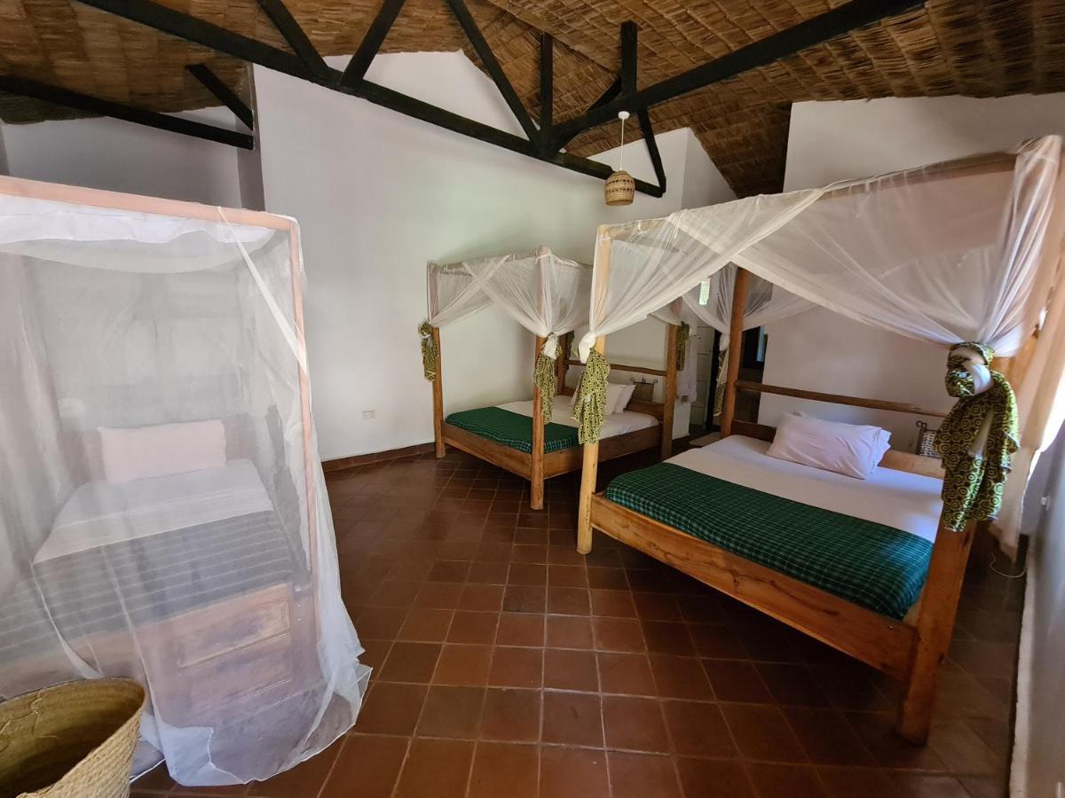 Honey Badger Lodge Moshi Exterior photo